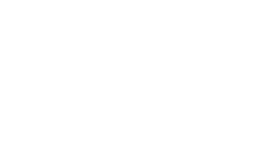 Austin Millz